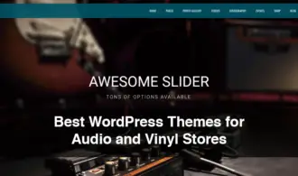 Best WordPress Themes for Audio and Vinyl Stores